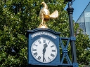 Tottenham Hotspur Golden Cockerel